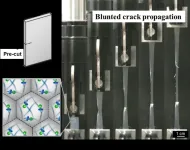 Towards crack-resistant nanoparticle-based latex films