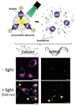 Towards new light-responsive carriers for intracellular substance delivery