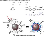 Towards next-generation nanocatalysts to revolutionize active electron transfer