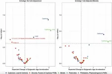 Toxic environmental pollutants linked to faster aging and health risks in US adults