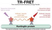 Toxic protein build-up in blood shines light on fatal brain disease