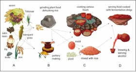 Traces of 10,000-year-old ancient rice beer discovered in Neolithic site in Eastern China