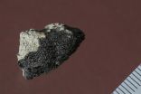 Traces of Martian biological activity could be locked inside a meteorite 2