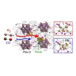 Tracing gas adsorption on “crowns” of platinum and gold connected by nanotunnels