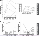 Tracking cfDNA release dynamics during colorectal cancer surgery