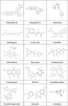 Traditional Chinese medicine unlocks new potential in treating diseases through ferroptosis regulation 2