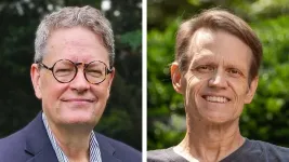 Trailblazers in plasma turbulence computer simulations win 2024 James Clerk Maxwell Prize