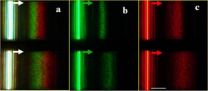 Trapping a rainbow: Lehigh researchers slow broadband light waves with nanoplasmonic structures