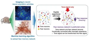 Traumatic memories can rewire the brain