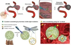 Treating cerebral aneurysms with a new filling method