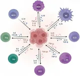 Treatment options for hepatocellular carcinoma using immunotherapy: present and future