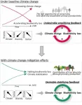 Tree diversity may save the forest: Advocating for biodiversity to mitigate climate change