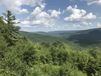 Trees struggle to ‘breathe’ as climate warms, researchers find