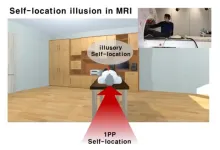 Tricking the Brain’s inner GPS: Grid cells responses to the illusion of self-location