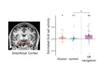 Tricking the Brain’s inner GPS: Grid cells responses to the illusion of self-location 2