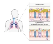 Triple combination therapy brings lasting improvement in cystic fibrosis