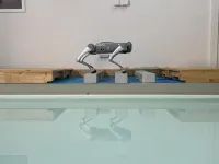 Trotting robots reveal emergence of animal gait transitions