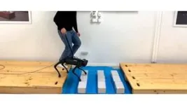 Trotting robots reveal emergence of animal gait transitions 2