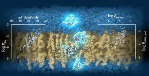 TSUBAME supercomputer predicts cell-membrane permeability of cyclic peptides