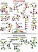 Tumor cells inner workings predict cancer progression