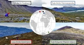 Tundra vegetation shows similar patterns along microclimates from Arctic to sub-Antarctic