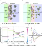 Tuning surface molecular design of porous carbon for blue energy harvesting