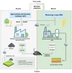 Turning crops into carbon sinks: Biochar offers a low-cost path to carbon removal in China
