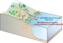 Twice as much carbon flowing from land to ocean than previously thought