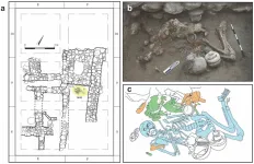 Two high status brothers had access to “brain surgery” in Bronze Age Israel