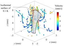 Two-in-one mapping of temperature and flow around microscale convective flows