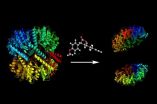 Two new weapons in the battle against bacteria