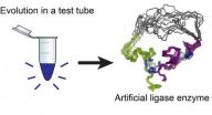 U. of Minn. researchers unveil first artificial enzyme created by evolution in a test tube