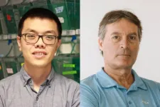 U of T researchers discover compounds produced by gut bacteria that can treat inflammation