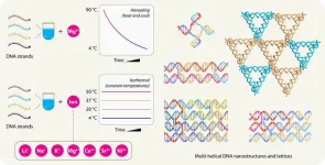 UAlbany researchers unlock new capabilities in DNA nanostructure self-assembly