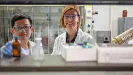 UArizona Cancer Center researchers discover iron-targeting approaches to halt proliferation of cancer cells