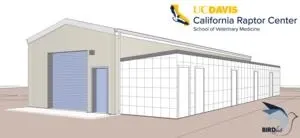 UC Davis establishes bird flight research center 3