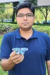 UCF researcher creates world’s first energy-saving paint – inspired by butterflies