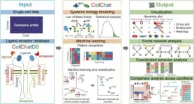 UCI researchers eavesdrop on cellular conversations