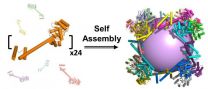 UCLA biochemists build largest synthetic molecular cage ever