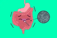 Ugh, my stomach: Identifying amino acids that prevent sporulation in food poisoning