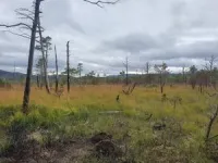 UK peatland fires are supercharging carbon emissions as climate change causes hotter, drier summers 2