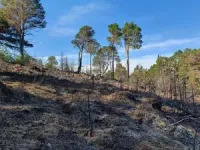 UK peatland fires are supercharging carbon emissions as climate change causes hotter, drier summers 3