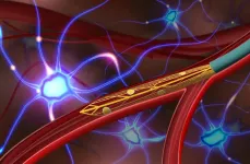 Ultra-flexible endovascular probe records deep-brain activity in rats, without surgery