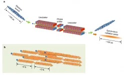 Ultrafast intra-atom motion tracked using synchrotron radiation