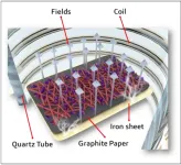 Ultrafast synthesis of cobalt/carbon nanocomposites by magnetic induction heating for oxygen evolution reaction