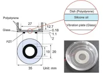 Ultrasonication as a tool for directing cell growth and orientation