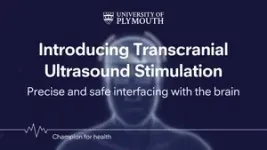 Ultrasound can be used as search and rescue tool for the brain 2