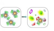 UMass Amherst chemists develop nose-like sensor array to 'smell' cancer diagnoses 