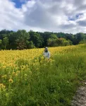 UMass Amherst research finds surprising science behind bumblebee superfood