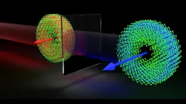 UMD team demonstrates swarm of photons that somersault in lockstep